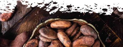 Antara Ekspor dan Impor Komoditas Kakao Indonesia