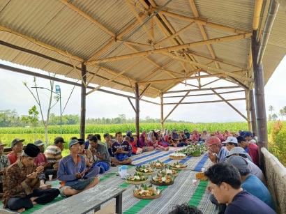 Mahasiswa KKN Universitas Negeri Malang Berperan Aktif dalam Syukuran Panen Raya di Desa Jatirejoyoso