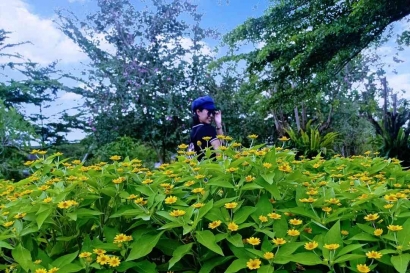 Narmada Botanic Garden Tanpa Bunga Matahari, Masih Memikat?