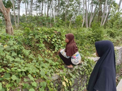 Berambut tapi Bukan Rambutan, Mahasiswa KKN IAI Syarifuddin Menemukan Sesuatu yang Tidak Wajar