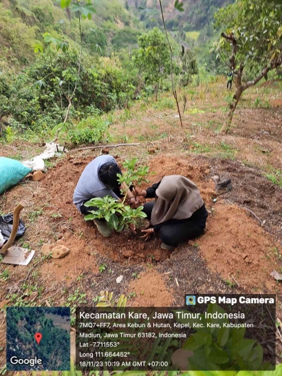 Praktikum Lapang Mahasiswa Pertanian, UPN "Veteran" Jawa Timur di Lahan Agroforestri Kecamatan Kare, Kabupaten Madiun