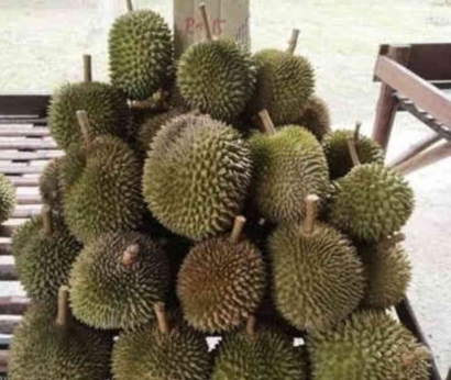 Jadilah  Seperti Buah Durian, Kulitnya Berduri Dalamnya Lembut