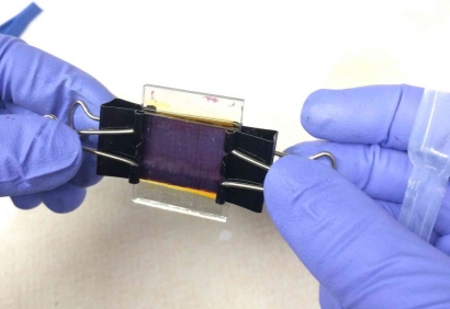 Nanoteknologi dalam Dye Sensitized Solar Cell (DSSC): Menghadirkan Era Baru Energi Bersih