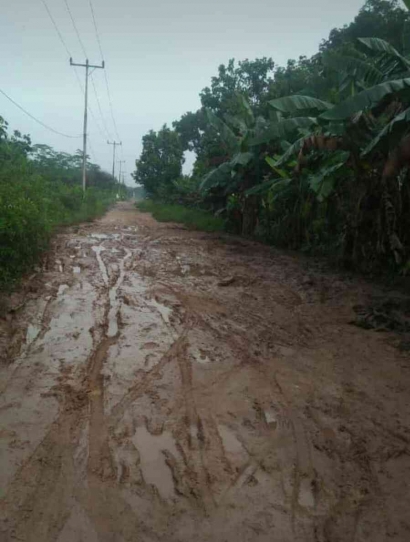 Keadaan Miris Jalan Usaha Tani di Desa Sungai Bulan Kecamatan Sungai Raya Kabupaten Kubu Raya Kalimantan Barat