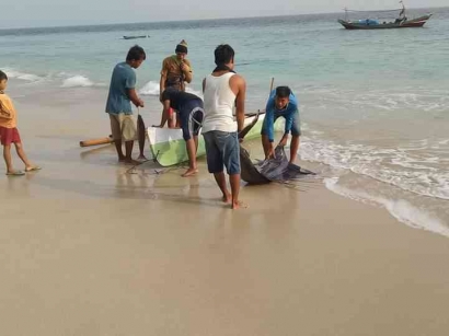 Mencabut Akar, Menghentikan Pengeboman Ikan di Teluk Semangka Tanggamus