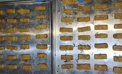 Cookies Cheese Stick Cassava Gluten Free: Pangan Inovasi Kreasi Mahasiswa Binadesa UPNVJT