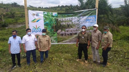 Komitmen Perkuat Konservasi Elephas Maximus Sumatrensis, PalmCo Gandeng BBKSDA Riau