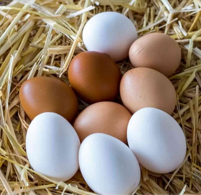 Telur Ayam Warna Kerabang Coklat Lebih Bergizi?