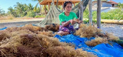 Peluang Penerapan Blue Economy pada Usaha Berbasis Kelautan di Kabupaten Lombok Timur