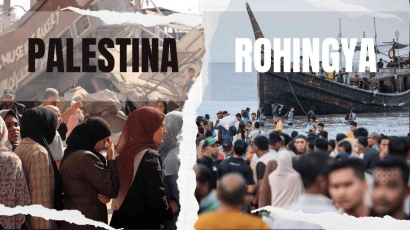 Membela Palestina, Menista Rohingya