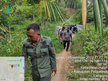 Satuan BKSDA Bengkulu Lampung, SKW III Lampung Melakukan Pelepasan Satwa Jenis Kukang (Nycticebus.Spp)