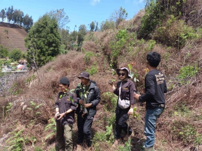 Upaya Merawat Alam pada Taman Nasional Bromo Tengger Semeru, Lewat Menanam Pohon
