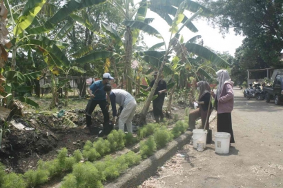 Mahasiswa ITB-AD: Pemanfaatan Limbah Pabrik Arang untuk Budidaya Buah-Buahan