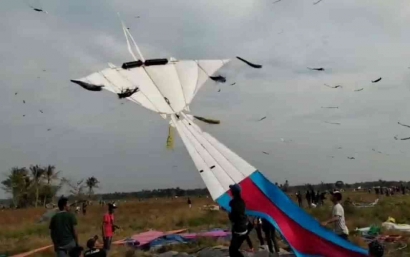 Kalayangan Dandang, "Raksasa Terbang" dari Tapin, Kalimantan Selatan