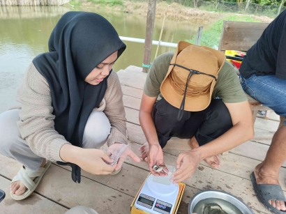 Tim OVOC IPB University Adakan Pendampingan Sampling Ikan Patin di Kolam Pesantren Miftahul Ulum