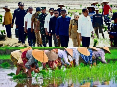 Presiden Jokowi Meminta Militer Membantu Petani Menanam Padi