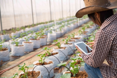 Smart Farming: Revitalisasi Pertanian Melalui Sistem Irigasi Tetes Dengan Ter-Integrasi IoT (Internet of Things)