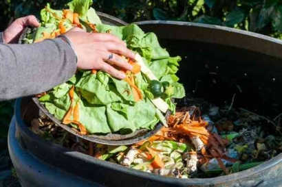 Buang Makanan: Kebiasaan Sepele yang Menjadi Isu Lingkungan Serius Dunia, Ancaman Limbah Makanan