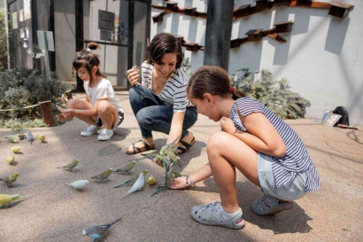Liburan Anak Belajar Merawat Burung Peliharaan di Rumah