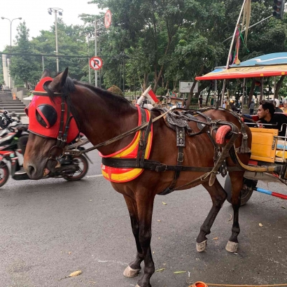 Lestarikan Transportasi Tradisional "Delman" yang Dapat Kita Temukan di Gedung Sate Bandung