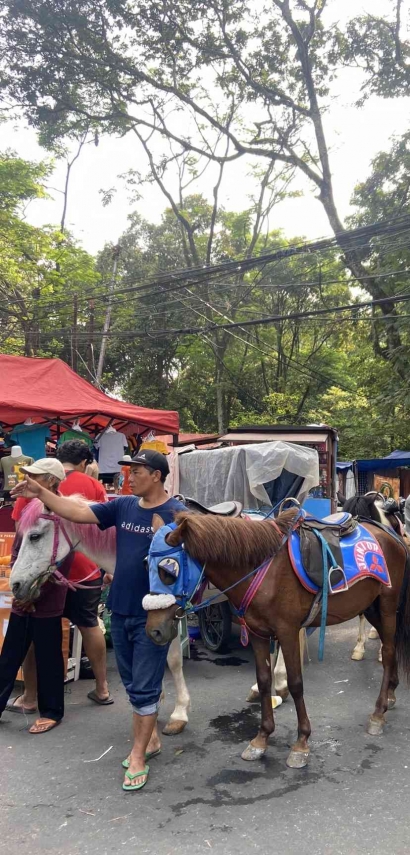 Menikmati Wisata Berkuda di Cisangkuy