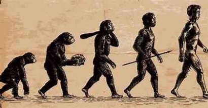 Pandangan Umat Islam terhadap Teori Evolusi Darwin