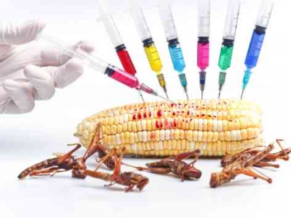 Produk GMO: Solusi atau Masalah bagi Lingkungan dan Kesehatan?