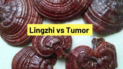 Lingzhi vs Tumor