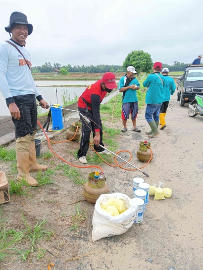 Penangkapan Tikus Sawah Bersama Kelompok Tani Desa Taraman Jaya