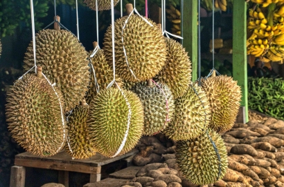 Durian Wonosalam Masih Menjadi Daya Tarik Warga Jawa Timur