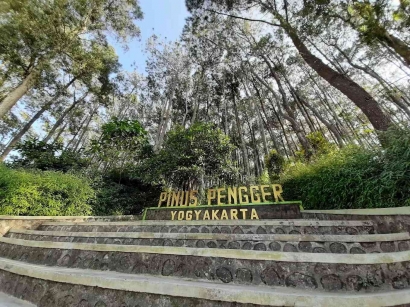 Pesona Alam Hutan Pinus Pengger Yogyakarta