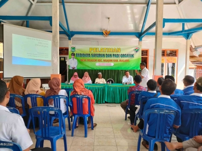 Pelatihan Budidaya Sayuran dan Padi Organik di Desa Ngasem: Menyuburkan Tanah, Menyehatkan Hidup Bersama KKM 64 UIN Malang