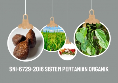 SNI 6729 2016 Sistem Pertanian Organik