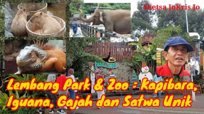 Lembang Park & Zoo: Kapibara, Iguana, Gajah dan Satwa Unik