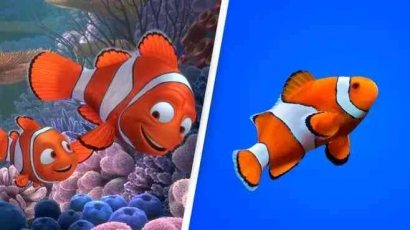 Jangan Mengaku Pecinta Film Finding Nemo Jika Tidak Tahu Fakta Menarik dari Ikan Badut Ini