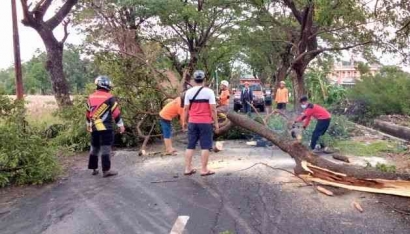 Tim Gabungan Rescue Sukoharjo Berhasil Mengkondisikan Pohon Tumbang akibat Angin Kencang