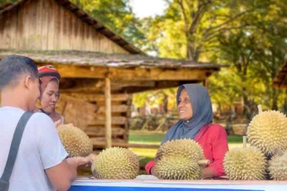 Panduan Lengkap Berburu Durian Kampung yang Bikin Dompet Tidak Kampungan