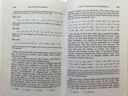 Masalah Sejarah Islam - Kesusastraan (Rumi dan Saadi)
