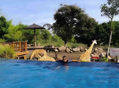 Berenang bersama Jerapah: Pengalaman Unik di Baobab Safari Resort
