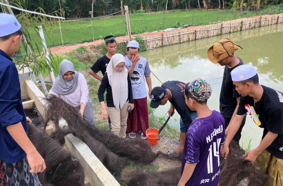 Perbaikan Kualitas Air dengan Filtrasi di Pondok Pesantren Miftahul Ulum, Kalimantan Selatan