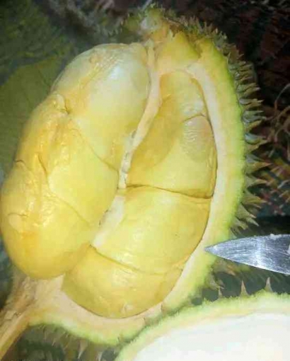 Tempoyak: Makanan Olahan dari Durian