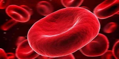 Kenali Golongan Darah Tipe P: Golongan Darah Langka yang Ada di Dunia Ini