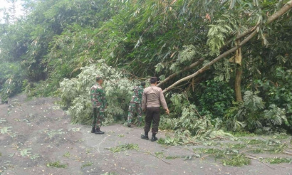 Kolaborasi Tangguh: Sinergi TNI-Polri, BPBD dan Warga Atasi Dampak Pohon Tumbang di Desa Sugihan, Trenggalek
