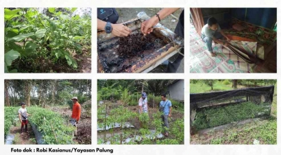 Yayasan Palung Lakukan Monitoring KUPS di Desa Penjalaan dan Rantau Panjang