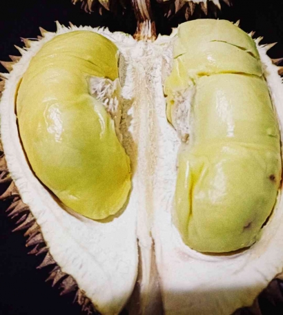 Durian, Kolesterol dan Hari Gizi Nasional 2024