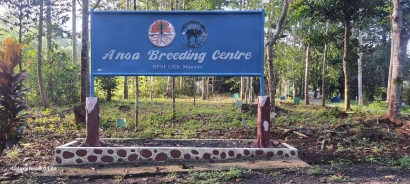 Mengenal Lebih Dekat, Anoa Breeding Centre (ABC)  BPSILHK Manado