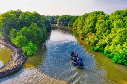 Menyelamatkan Hutan Mangrove