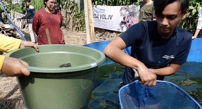 Kementerian Sosial Masyarakat BEM FPIK UB dalam Program Taruna Desa Menggelar Panen Raya Ikan Nila Hasil Budidaya Lokal Bersama Warga Desa Bedali