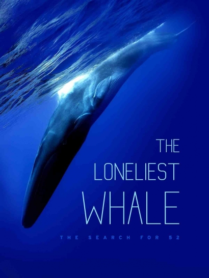 Puisi: Kesendirian Whale 52 ( versi2)