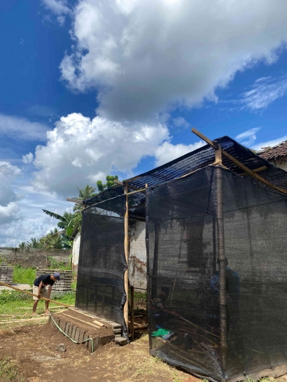 Mahasiswa KKN-T Unira Malang Persiapkan Green House Sebagai Bentuk Program Daulat Pangan untuk Desa Putat Lor
